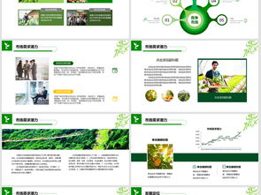 2018互聯(lián)網(wǎng)+農(nóng)副產(chǎn)品市場推廣企業(yè)營銷策劃案模板與設(shè)計(jì)素材指南